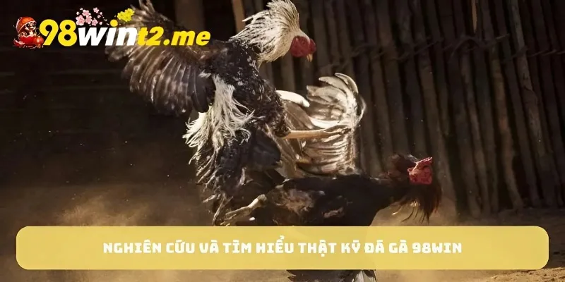 Nghiên cứu và tìm hiểu thật kỹ đá gà 98win 