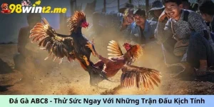 trực tiếp đá gà c1 c2 c3 ảnh đại diện