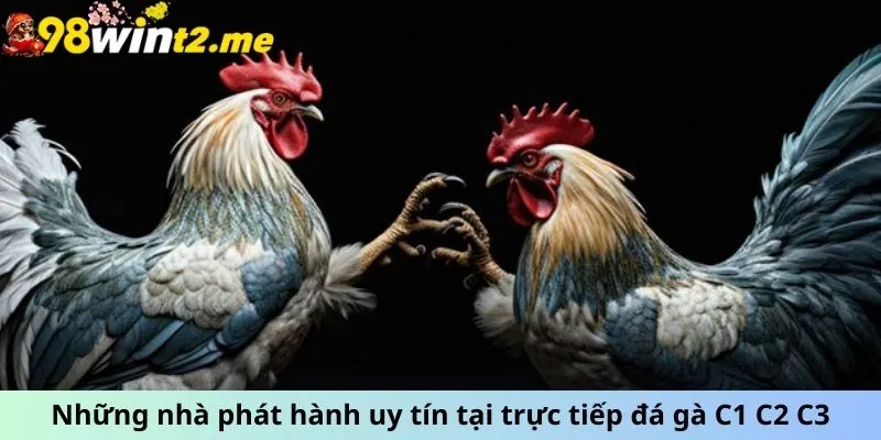 Những nhà phát hành uy tín tại trực tiếp đá gà C1 C2 C3